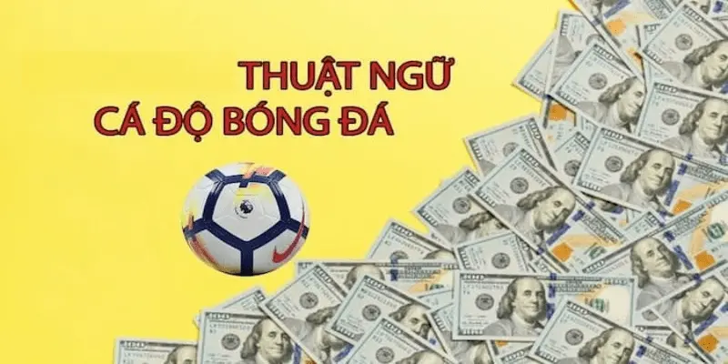 Tầm quan trọng của việc hiểu rõ thuật ngữ cá độ bóng đá