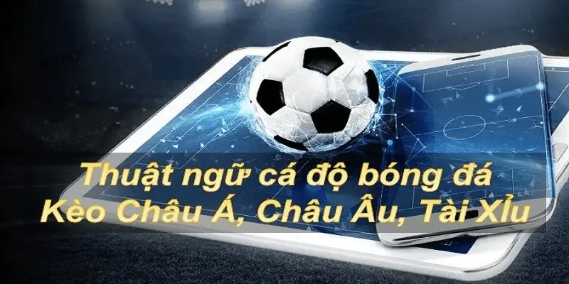 Thuật ngữ liên quan đến kèo tài xỉu